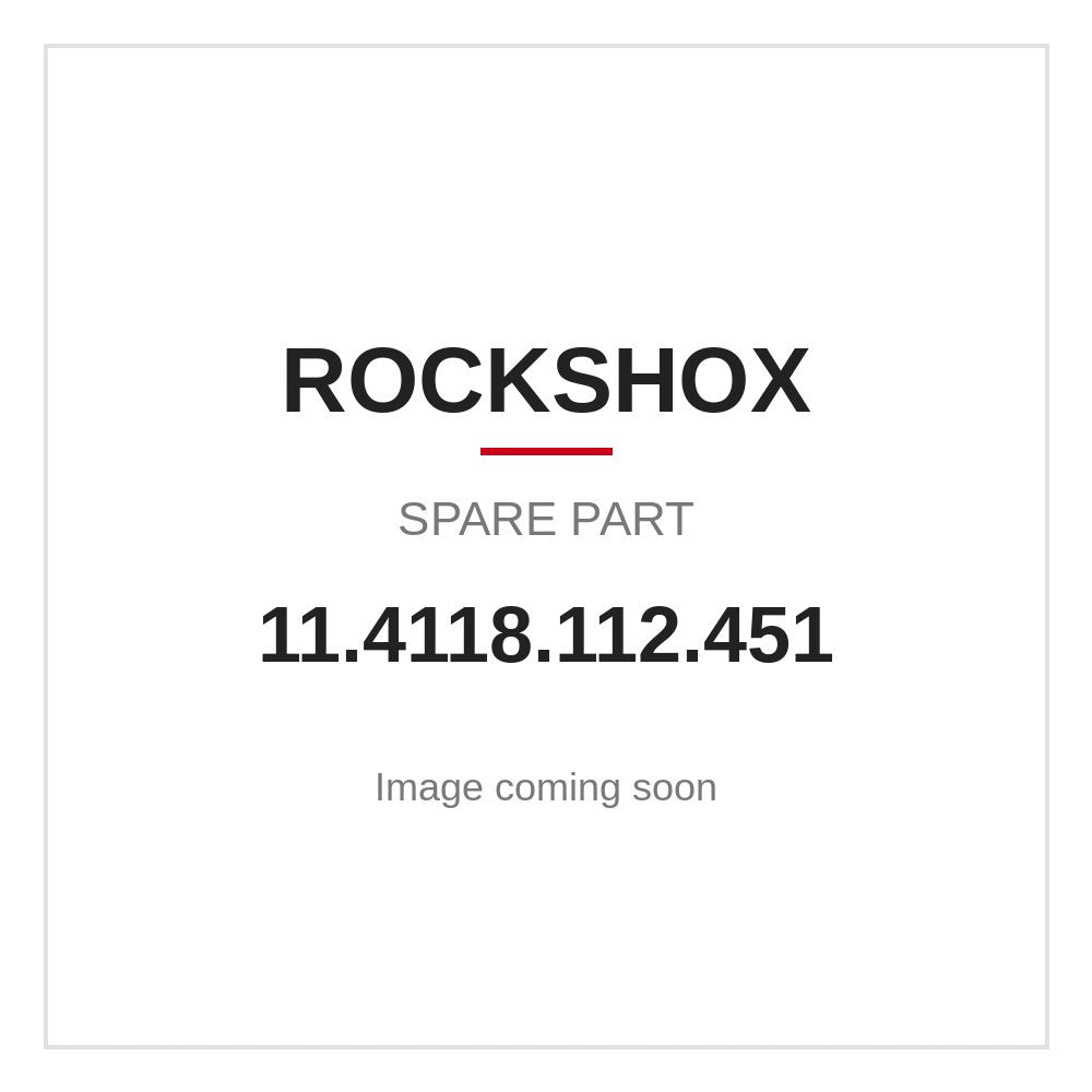 RockShox Deluxe Ultimate RCT Damper Shaft Assembly 37.5-45mm C1+ (2023+)