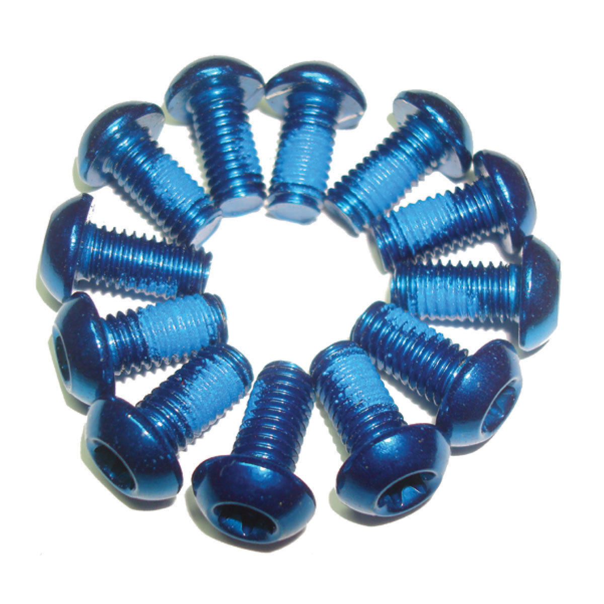 BRAKE ROTOR BOLTS BLUE STAINLESS 12PC