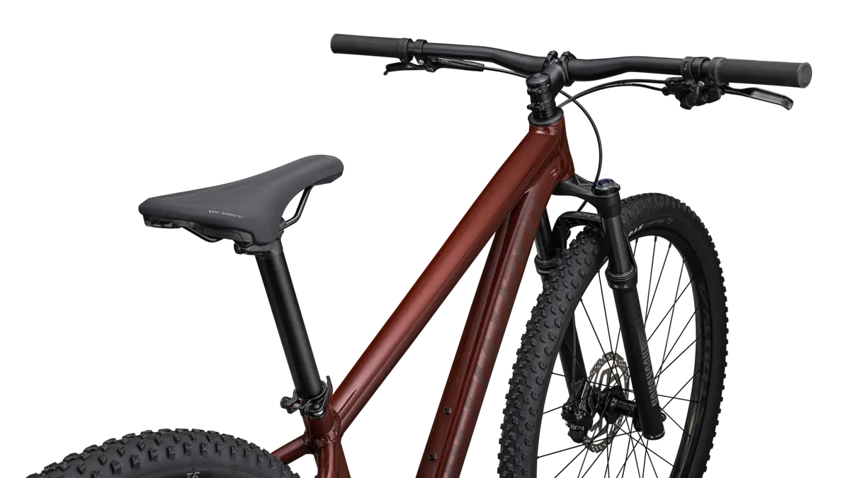 Rockhopper Expert 29