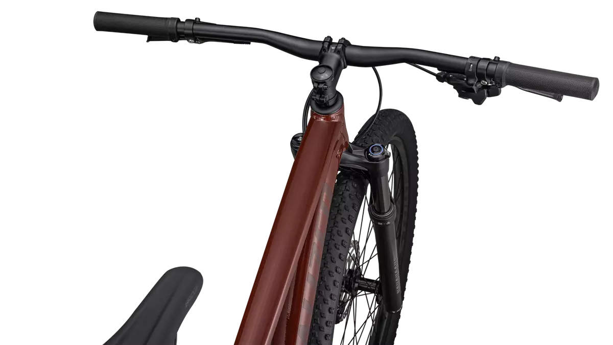 Rockhopper Expert 29
