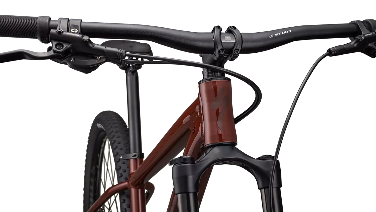 Rockhopper Expert 29