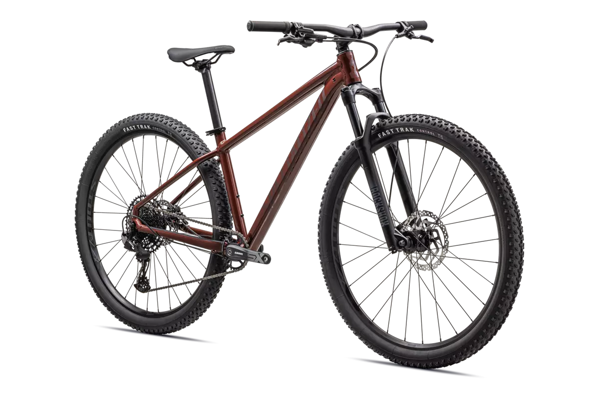 Rockhopper Expert 29