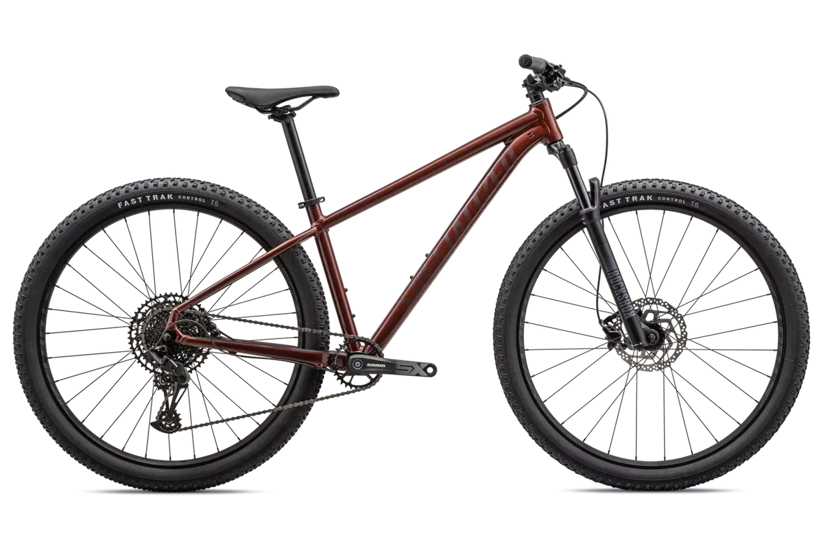 Rockhopper Expert 29