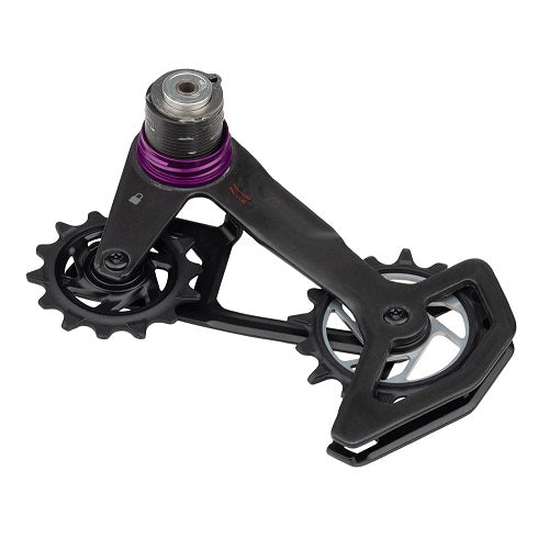 SRAM SP SL RD T-TYPE CAGE ASSY KIT