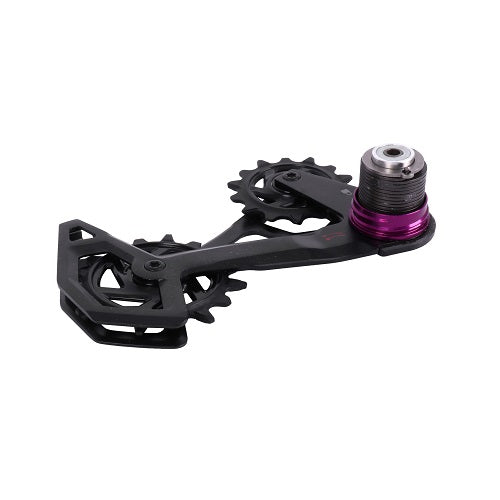 SRAM SP  RD T-TYPE CAGE ASSY KIT