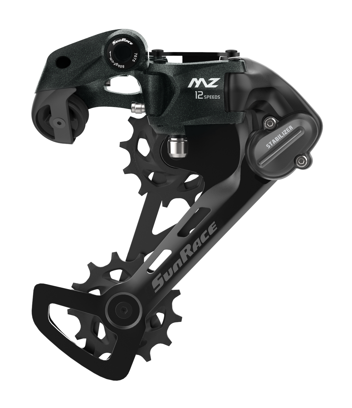 Derailleur Rear 12 speed MZ600 Direct Mount