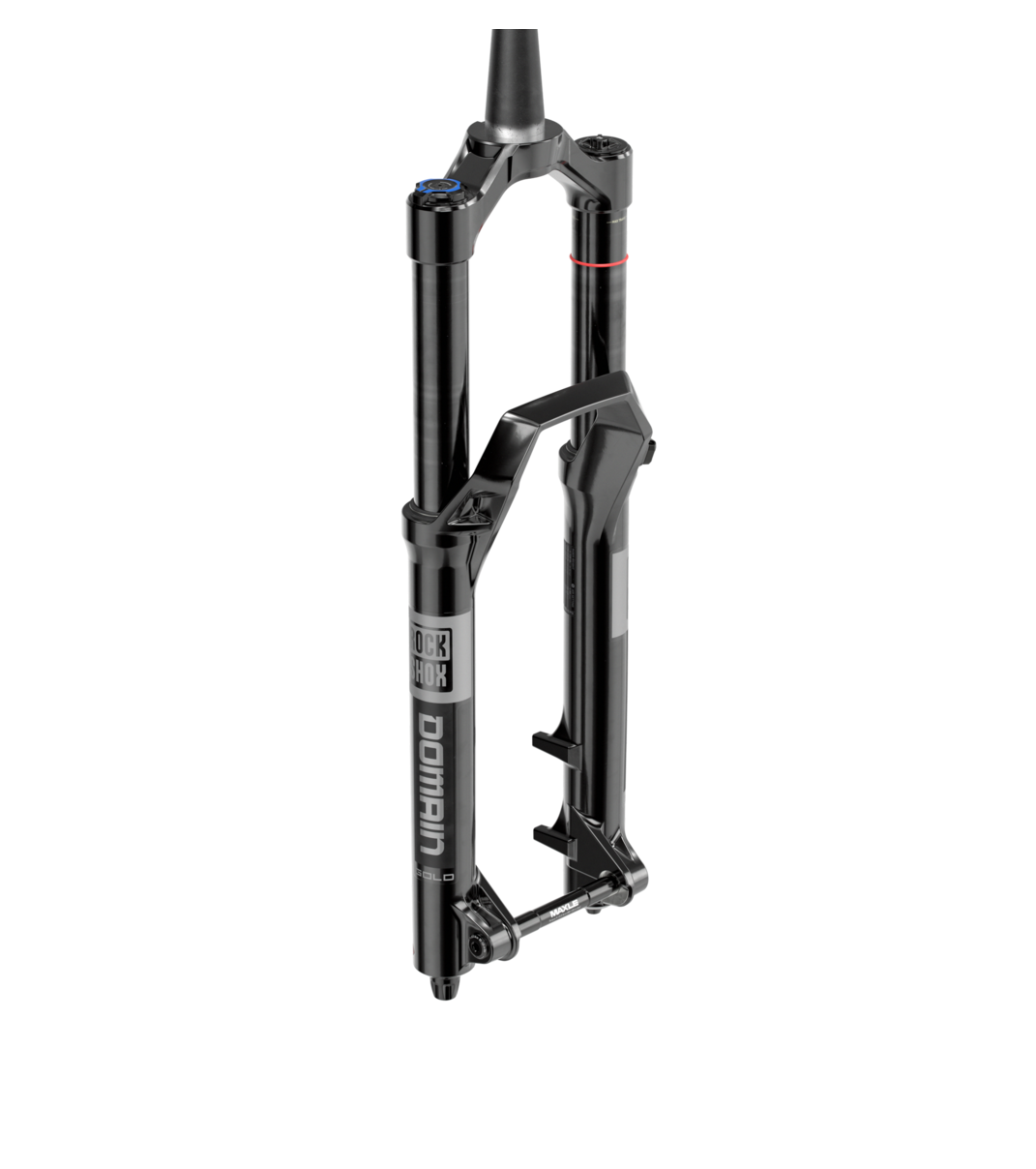 RockShox Fork Domain Gold RC 29 170mm Black