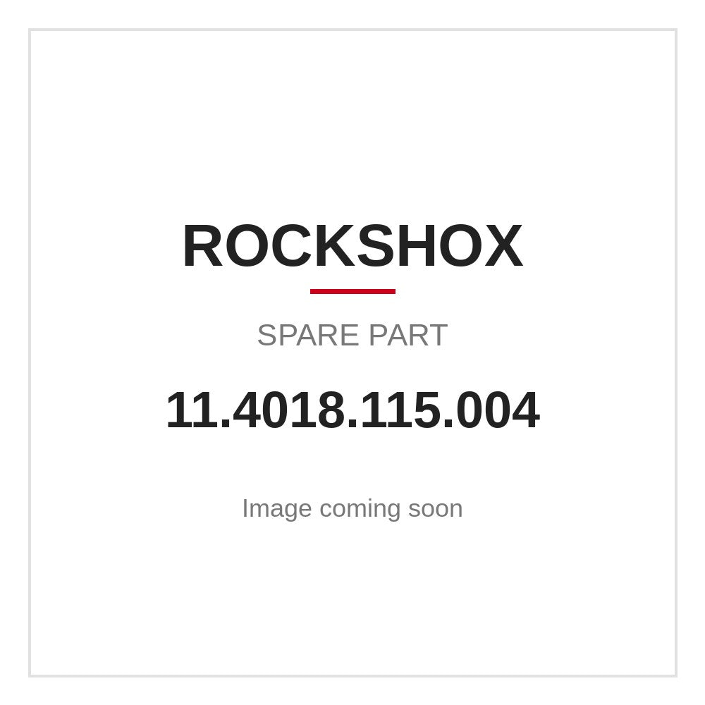 RockShox ZEB/Lyrik Fork Hose Clamp Gloss Black (2027+)
