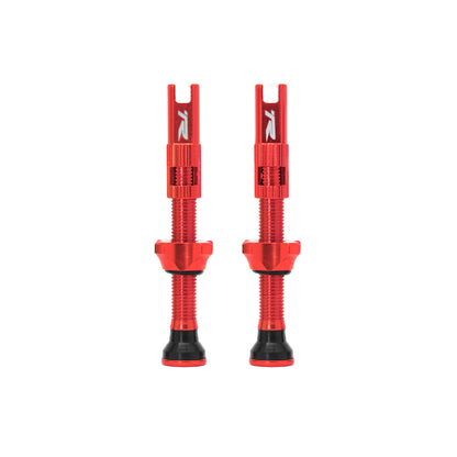 Ryder RVC Tubeless Valve Set 48mm Alu
