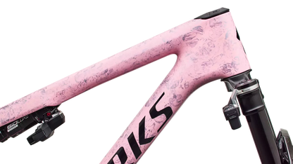S-Works Epic 9 Frameset