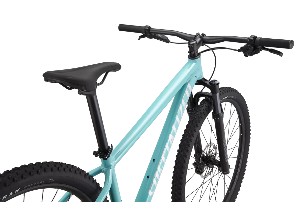 Rockhopper Expert 29