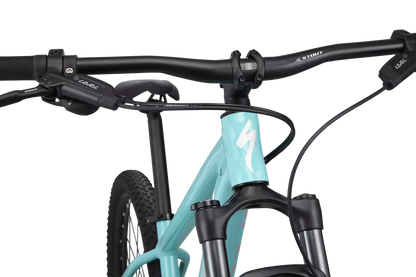 Rockhopper Expert 29