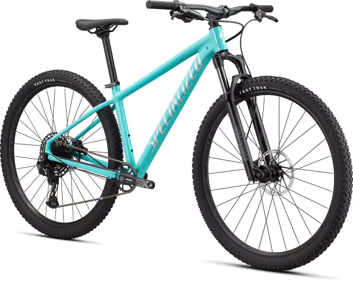 Rockhopper Expert 29