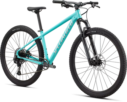 Rockhopper Expert 29