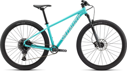 Rockhopper Expert 29