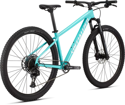 Rockhopper Expert 29