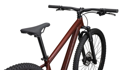 Rockhopper Expert 29