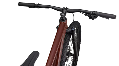 Rockhopper Expert 29