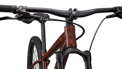 Rockhopper Expert 29