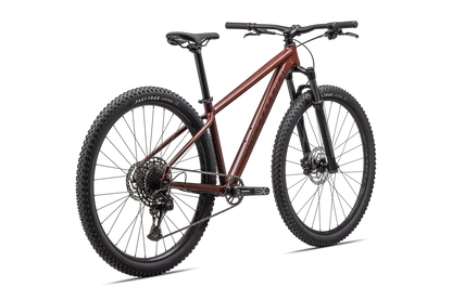 Rockhopper Expert 29