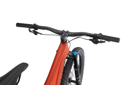 Stumpjumper Comp