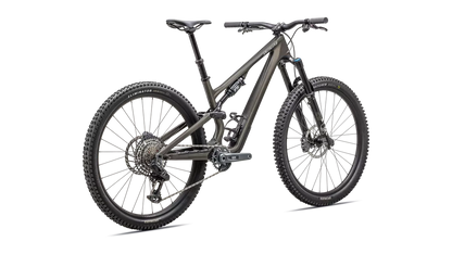 Stumpjumper 15 Expert  - SRAM GX AXS, FOX Performance Elite