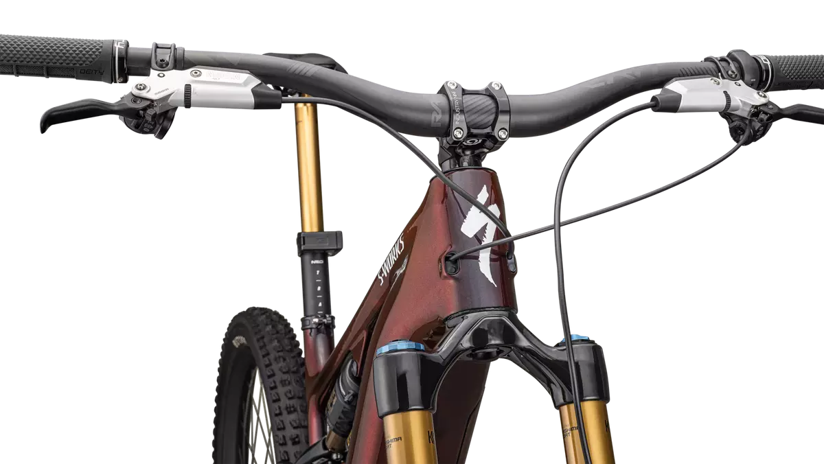 S-Works Turbo Levo 4