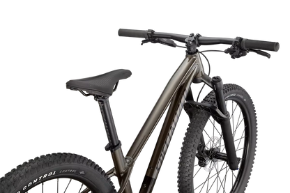 Riprock Expert 24