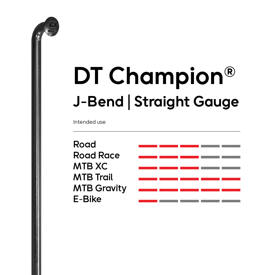 DT Swiss Champion J-Bend 268mm SG (2.0) Black