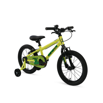 Sensor Rider 16