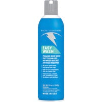 W/L EASY BIKE WASH AEROSOL 19 OZ