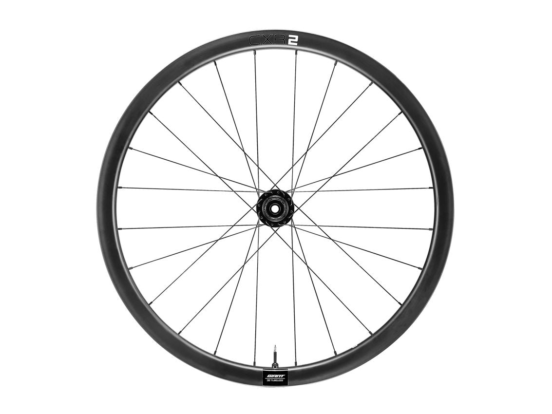 GIANT W/SET CXR 2