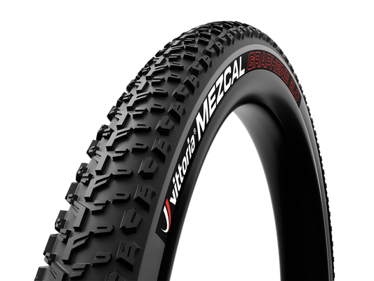 Mezcal III 29×2.1 XC-Trail/TNT Anth-Blk-Blk G2.0